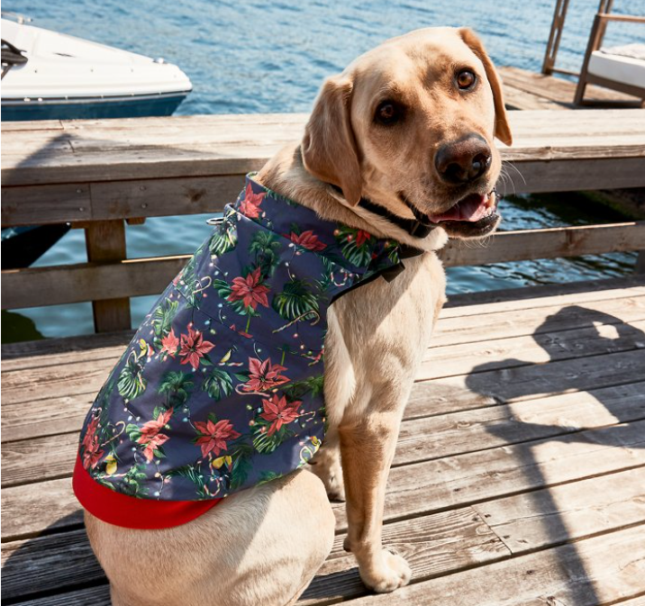 K9Wear: Shop Harness with Interchangeable Apparel