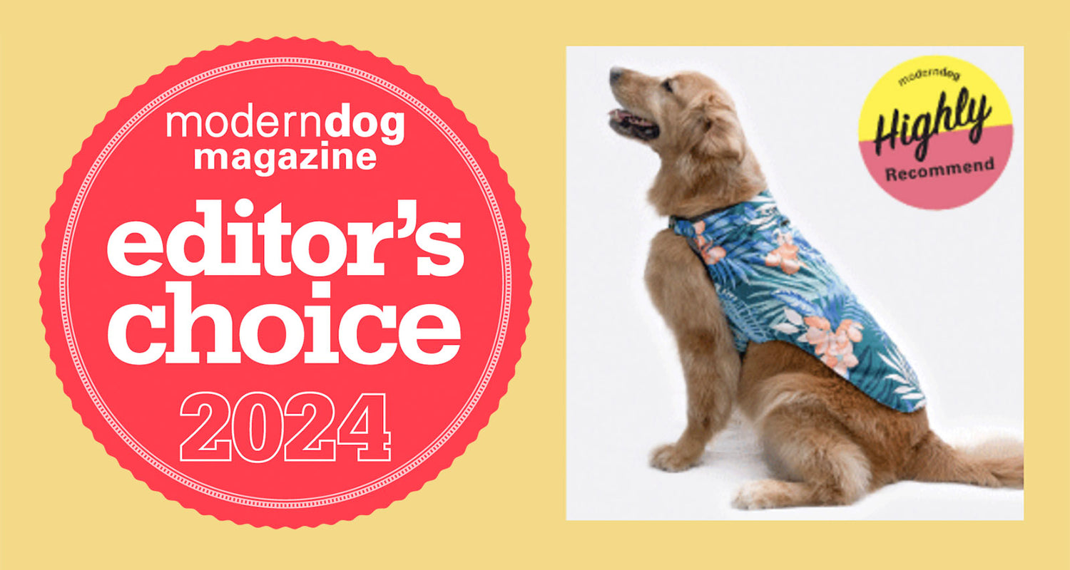 K9 Wear Featured in Modern Dog Magazine