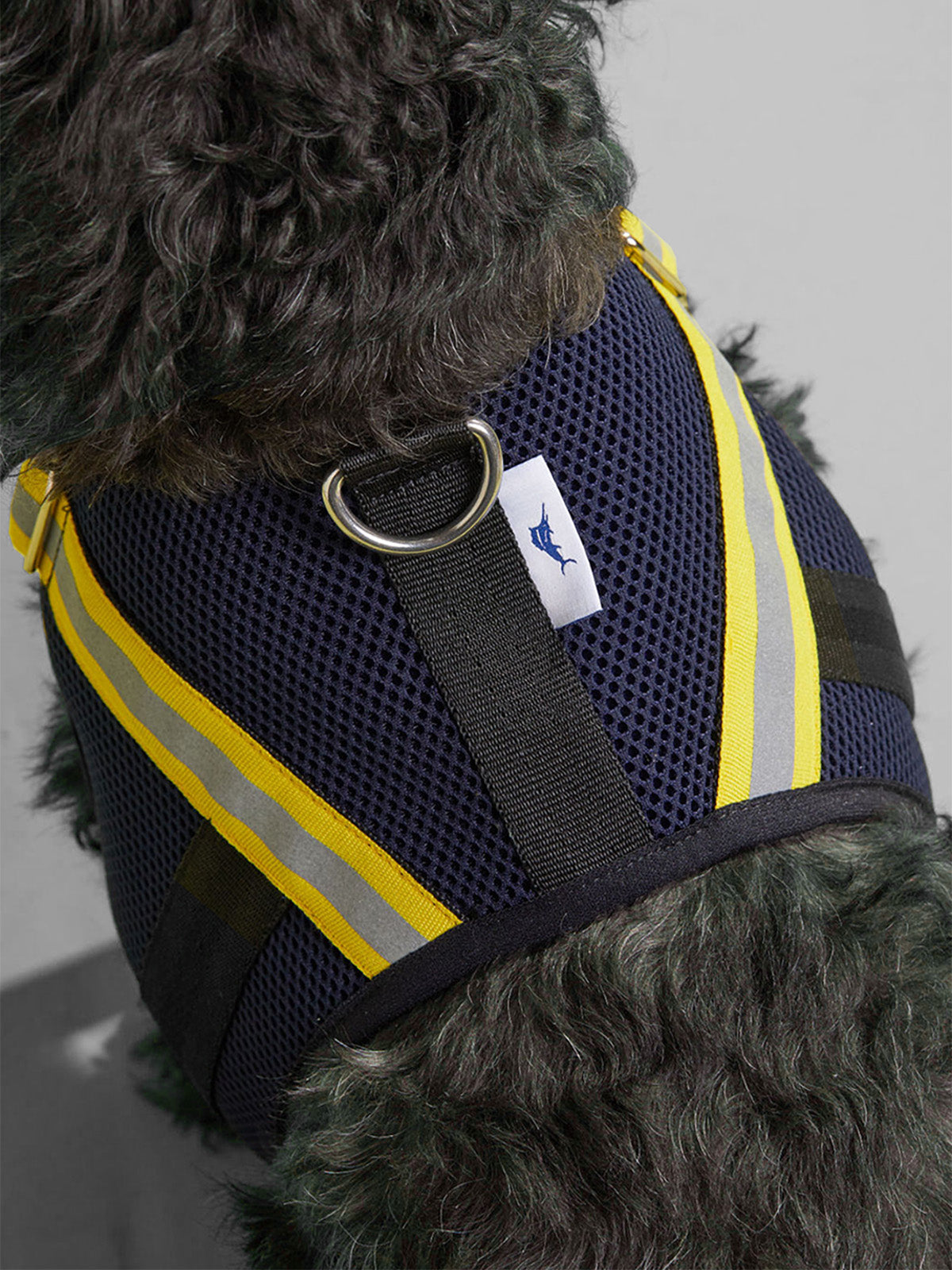 tommy bahama apparel harnesses for dogs