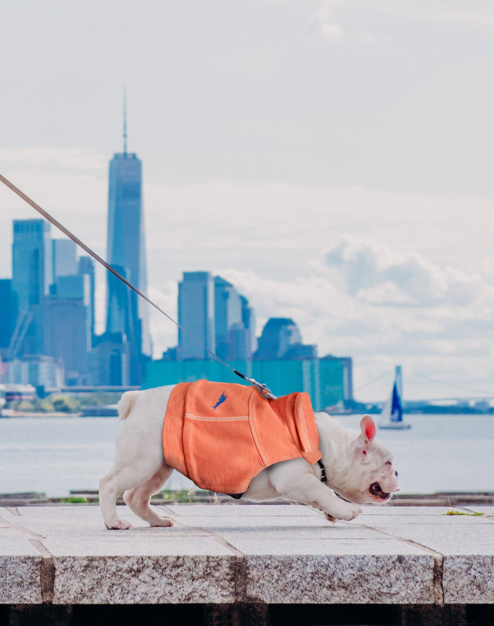 k9wear quarter zip sweatshirt in new york city