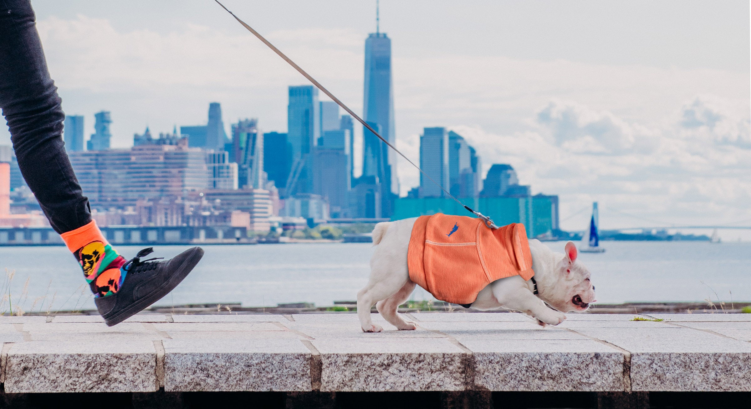 k9wear quarter zip sweatshirt in new york city