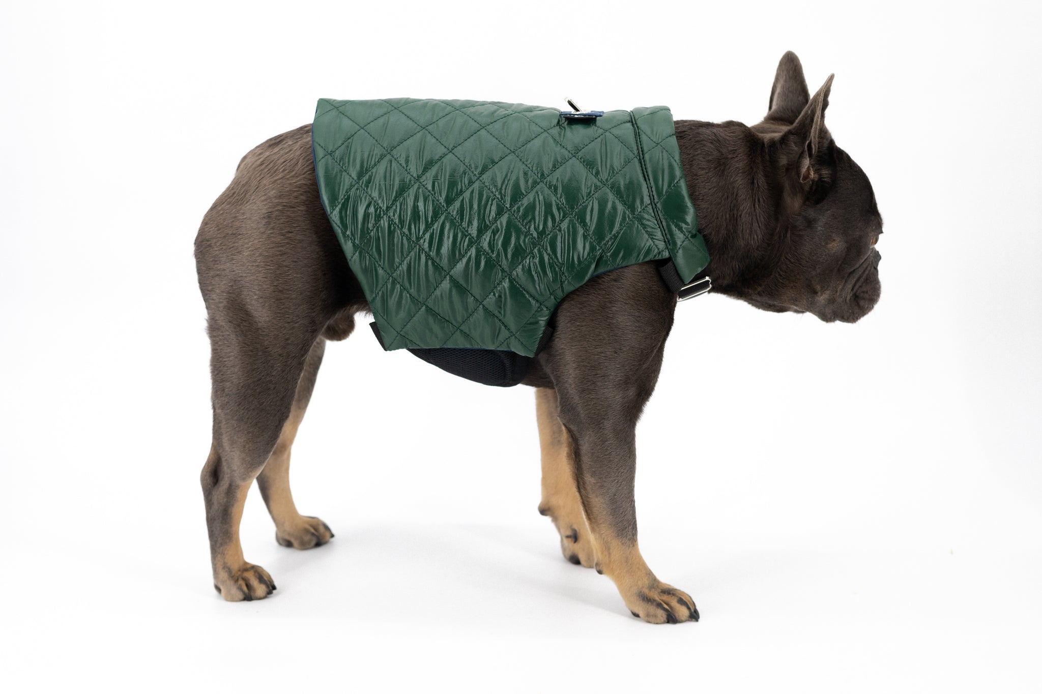  Fitwarm Ruffle Quilted Dog Coat, Pet Puffer Jacket