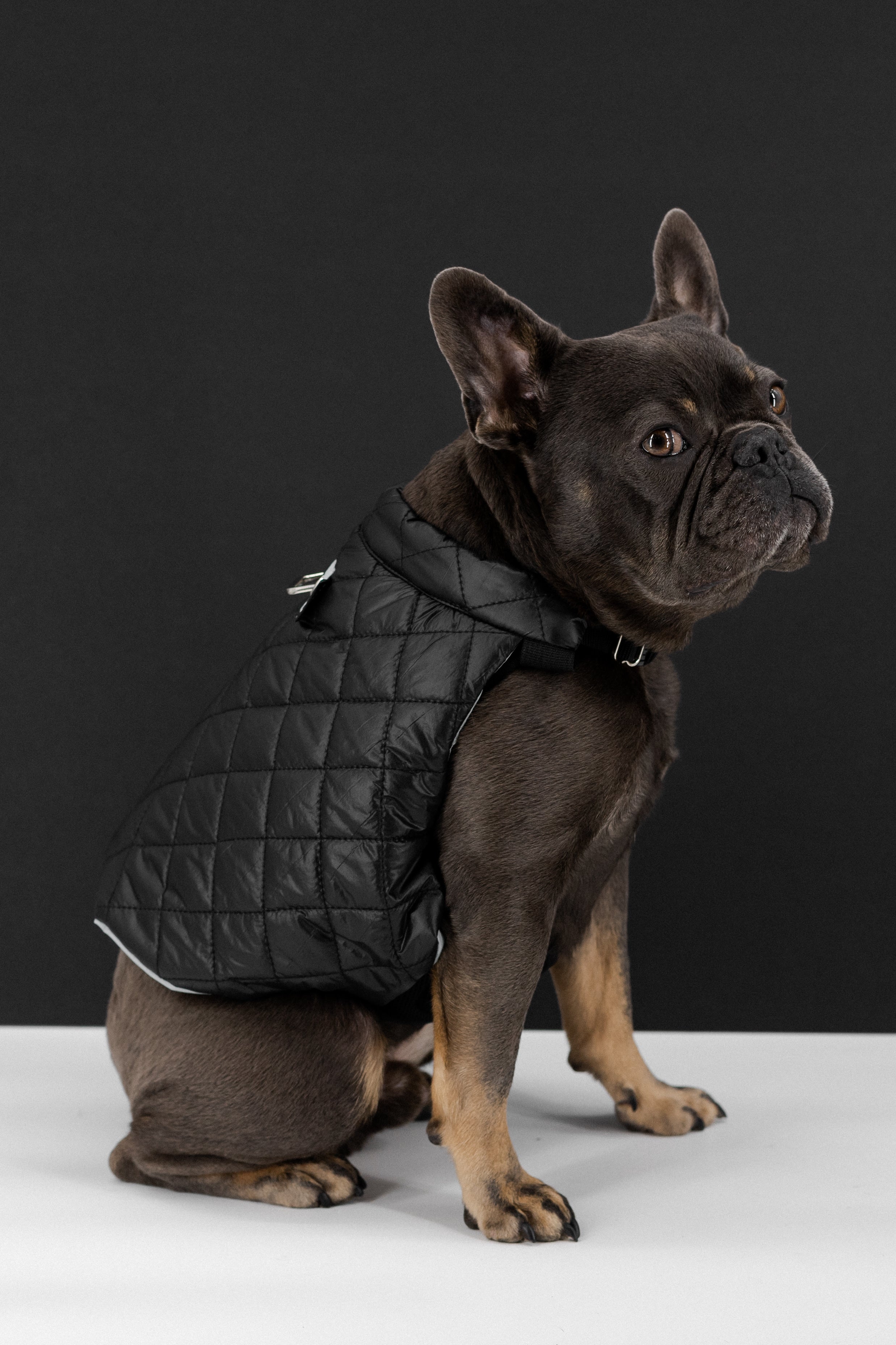Puffer Designer Dog Carrier Winter Black Dog Bag Puppy Soft 