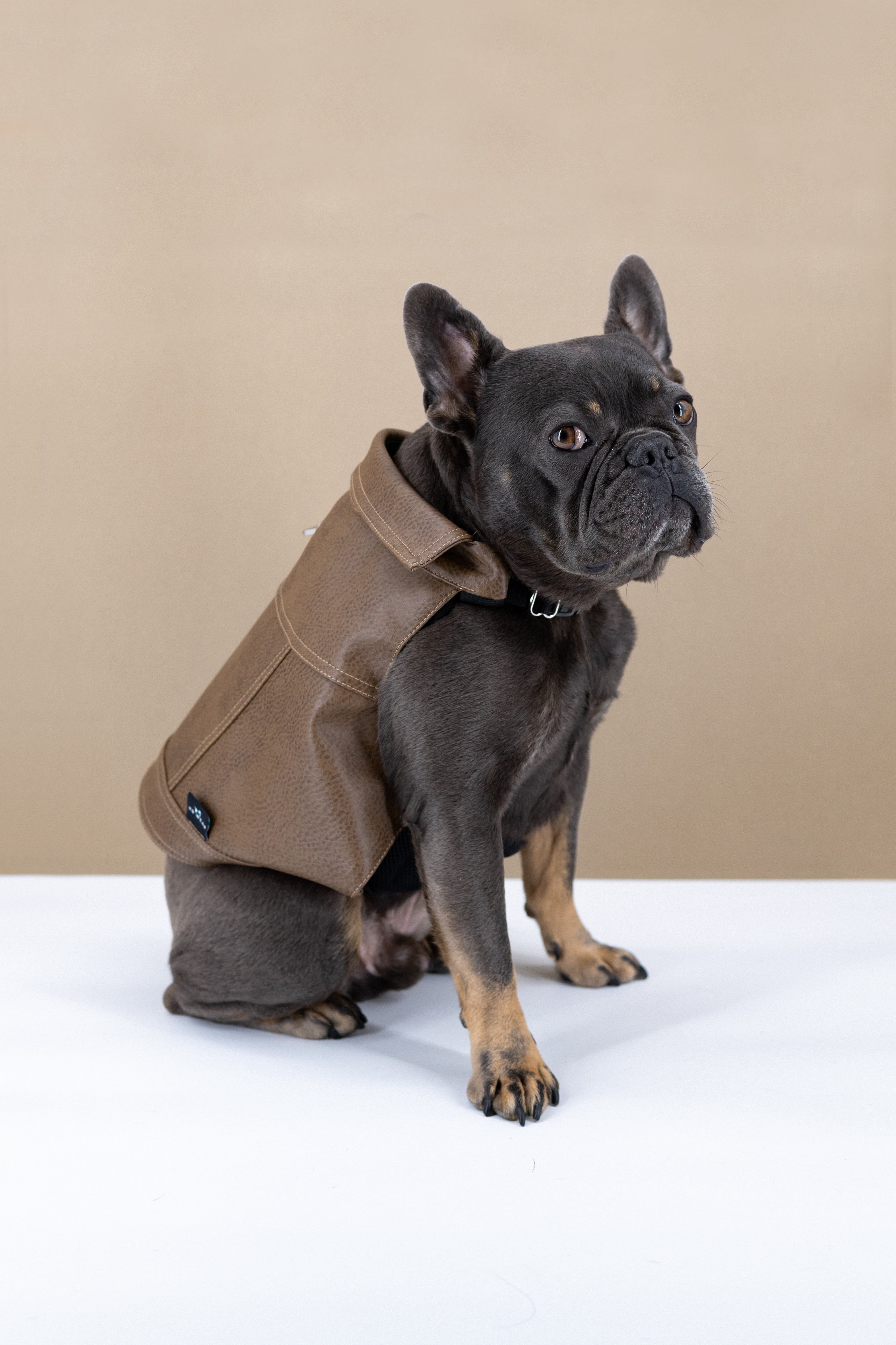 Hanyang Luxury Leather Dog Harness Adjustable Vegan Leather Dog